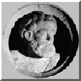 trofa1.gif (20178 bytes)